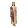 Kids Goddess Robe Girl Halloween Costume 1 Kids Goddess Robe Girl Halloween Costume -Accessories Shop Kids20Children20Girl20Greek20Mythology20Goddess20Toga20Royal20Outfit20Halloween20Costume201 700x823 1