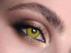 Mal Chick Yellow Contact Lenses(Mal Chick Yellow)