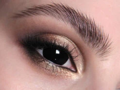 Mini Sclera Black 17mm Contact Lenses(Mini Sclera Black)