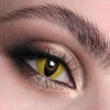 Wildcat Contact Lenses(Wildcat)