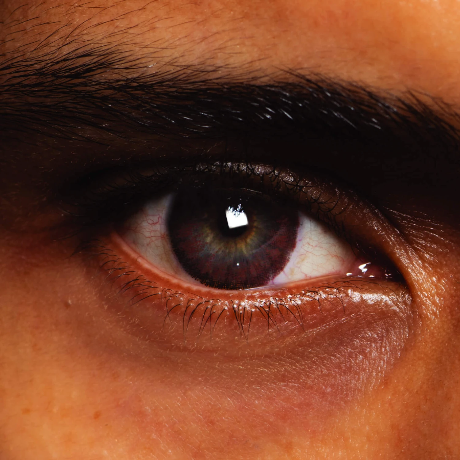 Chocolate Chai Natural Coloured Contact Lenses(Chocolate Chai) 4 Chocolate Chai Natural Coloured Contact Lenses(Chocolate Chai) - Image 2