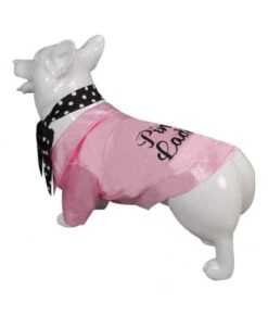 1980s Pink Jacket Black Silk Pet Halloween Costume 19 1980s Pink Jacket Black Silk Pet Halloween Costume -Accessories Shop grease rydell high cheerleader pet clothing halloween cosplay costume 3 700x823 1