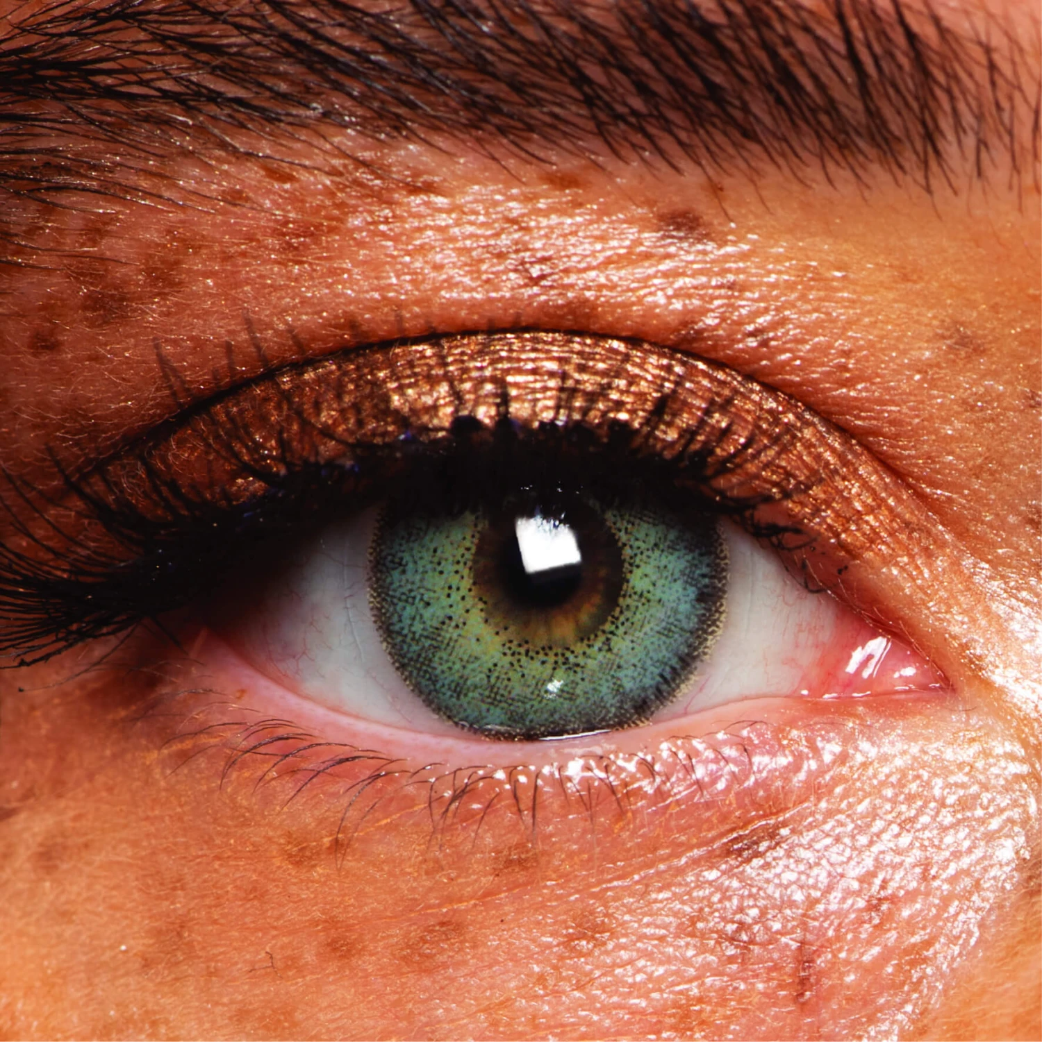 Juniper Berry Coloured Contact Lenses(Juniper Berry) 4 Juniper Berry Coloured Contact Lenses(Juniper Berry) - Image 2