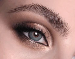 Blue Swan Coloured Contact Lenses(Blue Swan Colour Contact Lenses)