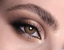 English Oak Coloured Contact Lenses(English Oak)