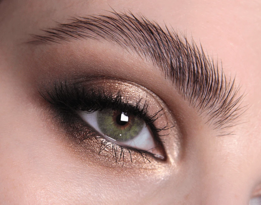 Winter Fern Coloured Contact Lenses(Winter Fern) 3 Winter Fern Coloured Contact Lenses(Winter Fern)